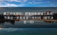 真正的关键在：把蜜桃影视当工具用：节奏这一步直接省一半时间（细节决定一切）