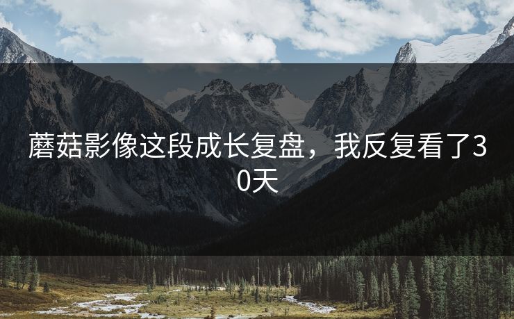 蘑菇影像这段成长复盘，我反复看了30天