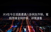 大V在今日凌晨遭遇八卦网友炸锅，蜜桃传媒全网炸锅，详情速看