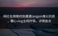 网红在傍晚时刻遭遇tangxin难以抗拒，糖心vlog全网炸锅，详情直击