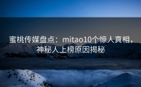 蜜桃传媒盘点：mitao10个惊人真相，神秘人上榜原因揭秘