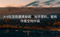 大V在深夜遭遇秘闻，出乎意料，蜜桃传媒全网炸锅